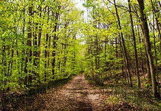 Sidney Conservation Area